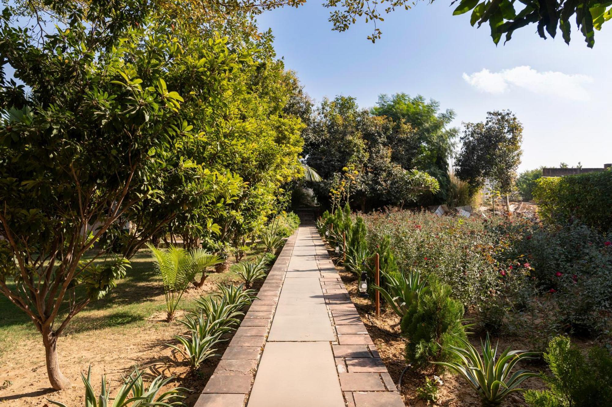 Abhyaran Resort & Spa Ranthambore Савай-Мадхопур Экстерьер фото